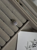 Royal silver zirconia ring